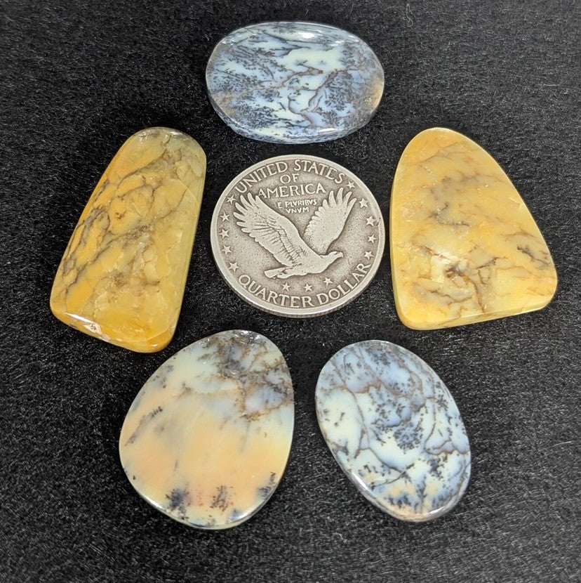 5 Australian Dendritic Common Opals