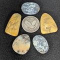 5 Australian Dendritic Common Opals