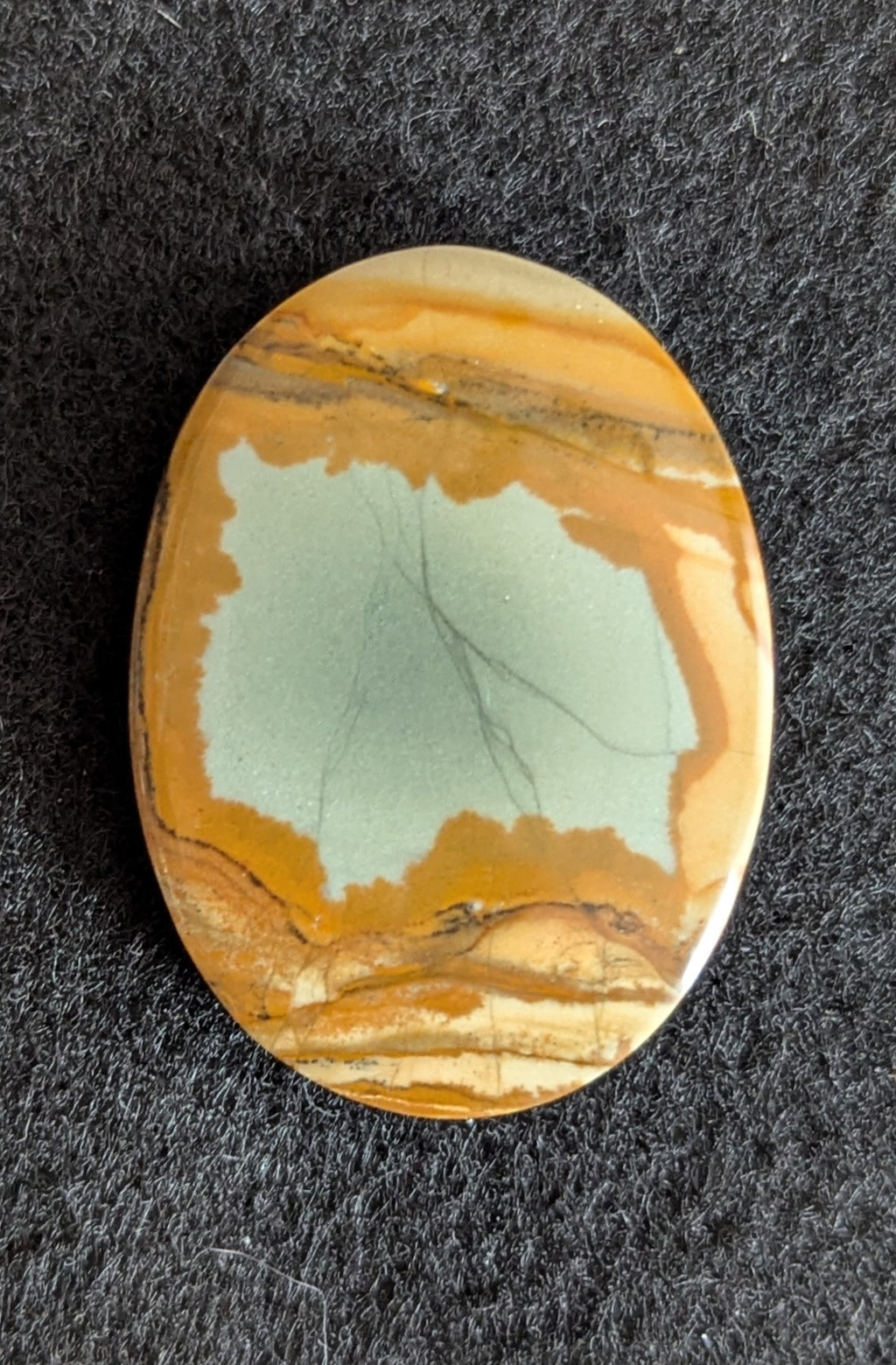 Owyhee Picture Jasper Cabochon