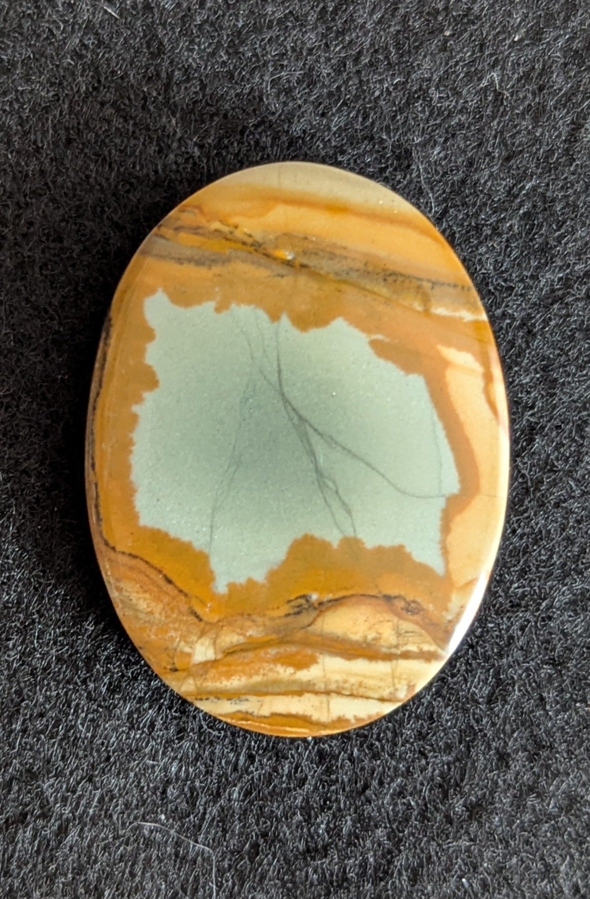 Owyhee Picture Jasper Cabochon