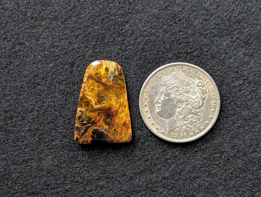 AA+ Pietersite Freeform Cabochon