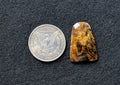 AA+ Pietersite Freeform Cabochon