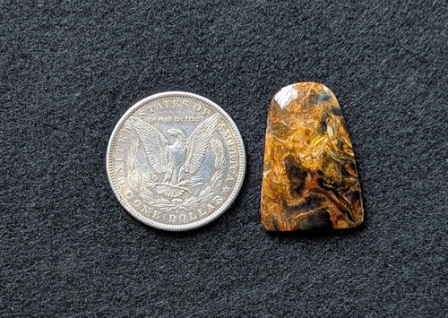 AA+ Pietersite Freeform Cabochon