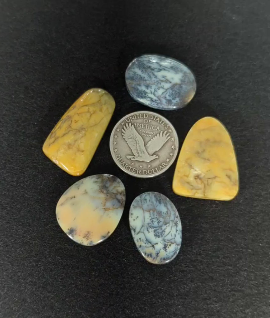 5 Australian Dendritic Common Opals