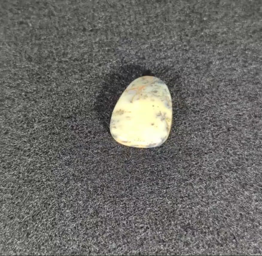 Dendritic Common Opal Cabochon