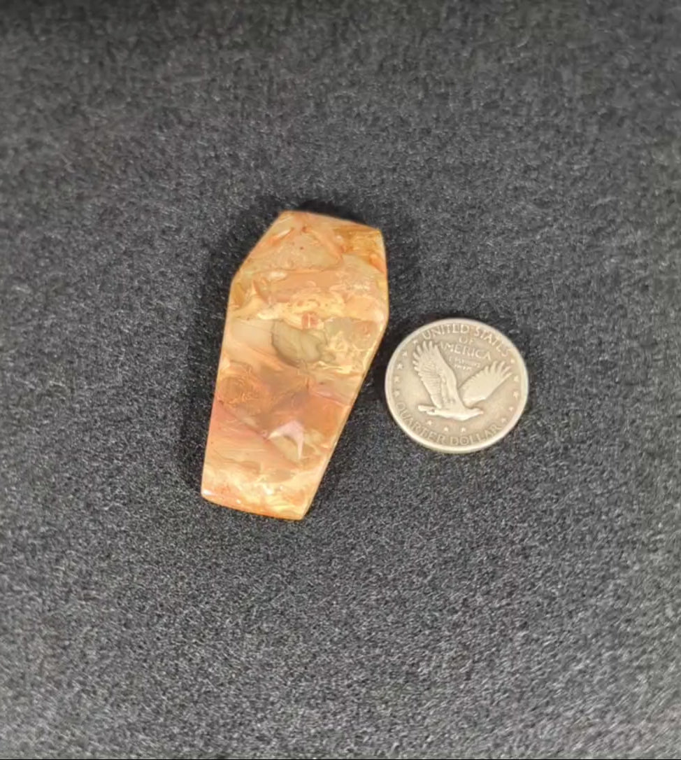 Carrasite Picture Jasper Coffin Shaped