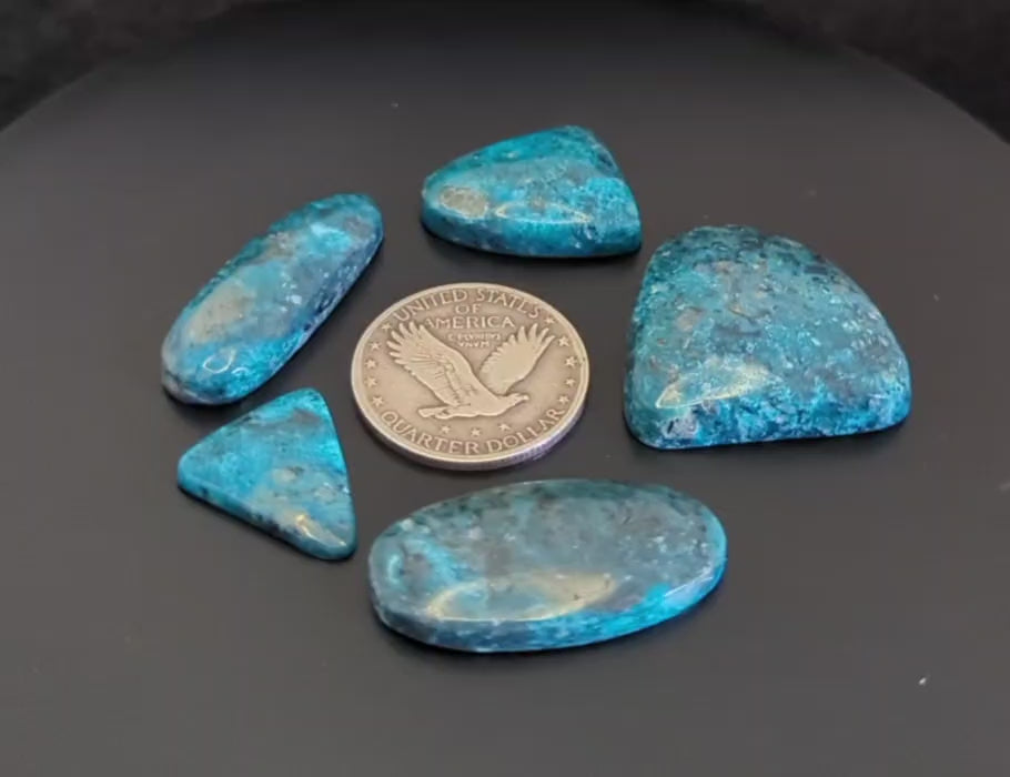 5 Ithaca Peak Turquoise Cabochons