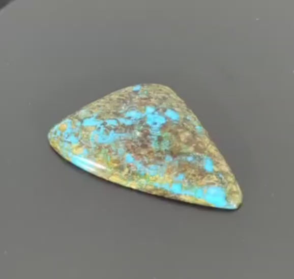 Exquisite Ithaca Peak Turquoise Freeform Cabochon