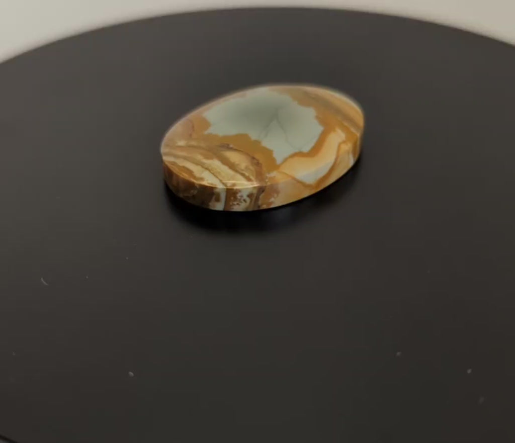 Owyhee Picture Jasper Cabochon